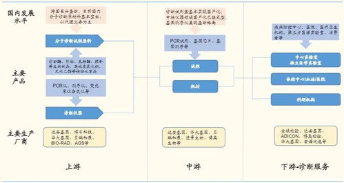 體外診斷3.0時代 分子診斷百花齊放，基礎軟件是決勝先機
